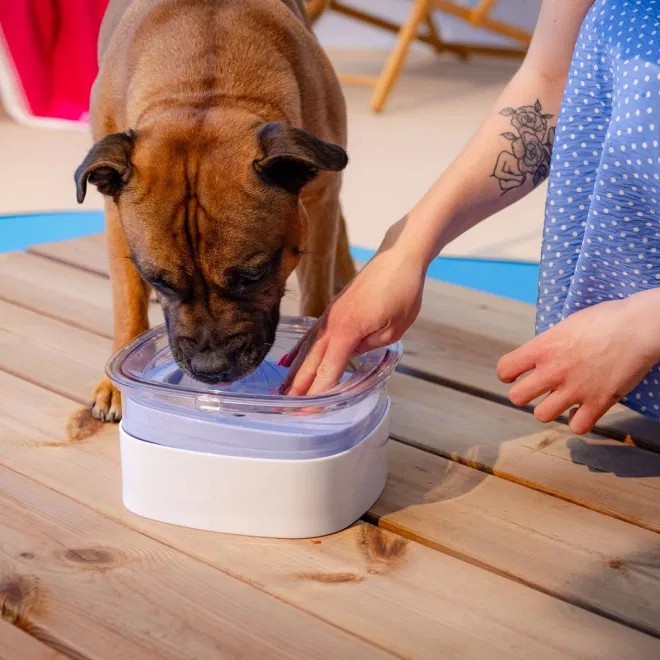 L&B Non-splash drinking bowl pale blue -  4