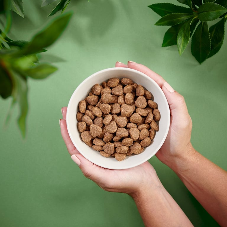 Purenatural Sensitive sausas maistas šunims su antiena, 2 kg -  4
