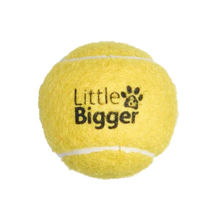 Little&Bigger Tennis koera mänguasi, piiksuv pall, kollane, S - Tootepilt 2