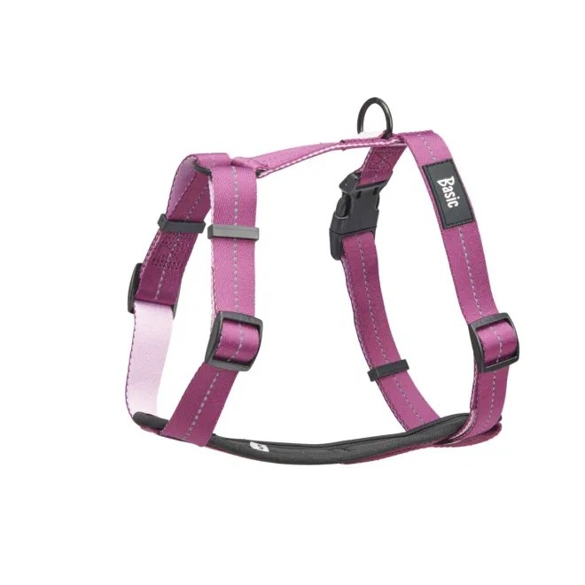 Basic koera traksid Fresh, M, fuksia - Tootepilt