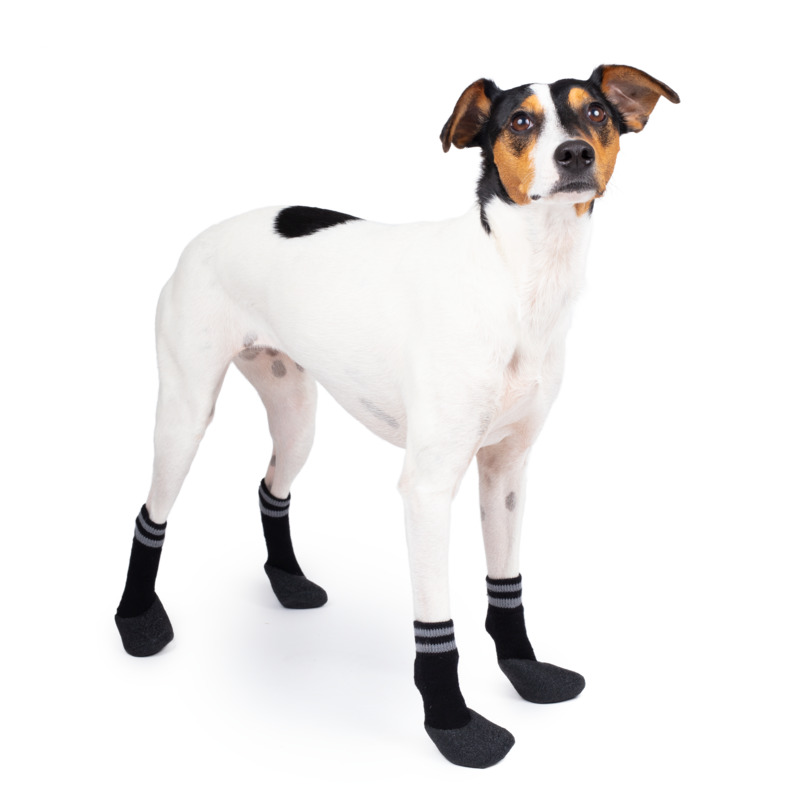 BASIC PAWS KOJINĖS, 4 VNT. 4 DYDIS, JUODOS* -  1
