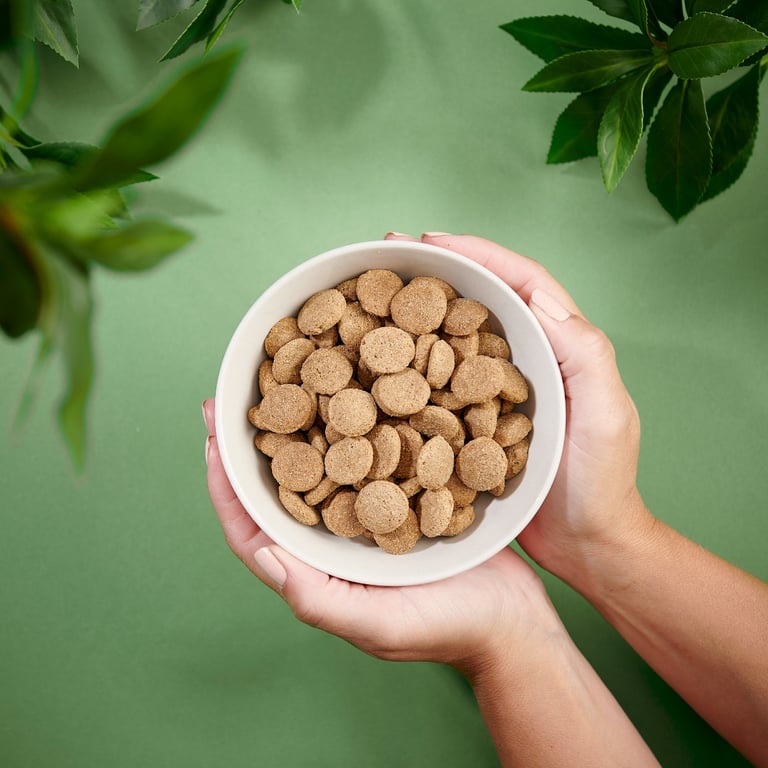 Purenatural sausas maistas didelių veislių šuniukams su višt., 2 kg -  5