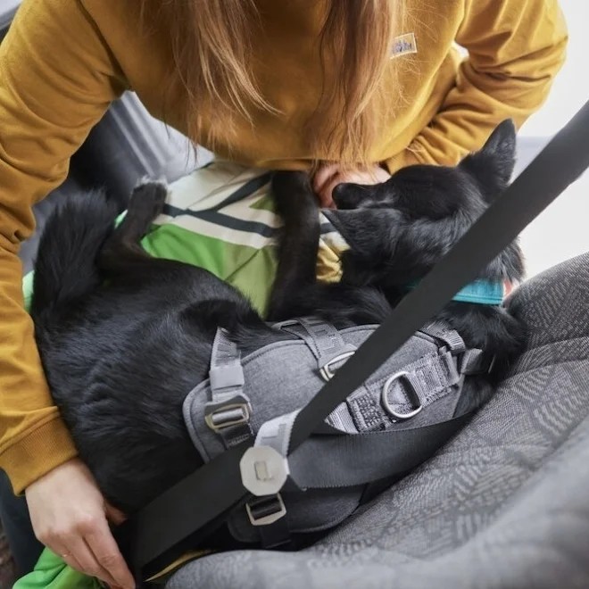 Hurtta Travel krūšu siksna ECO 5–10 kg, pelēka - Produkta attēls 3