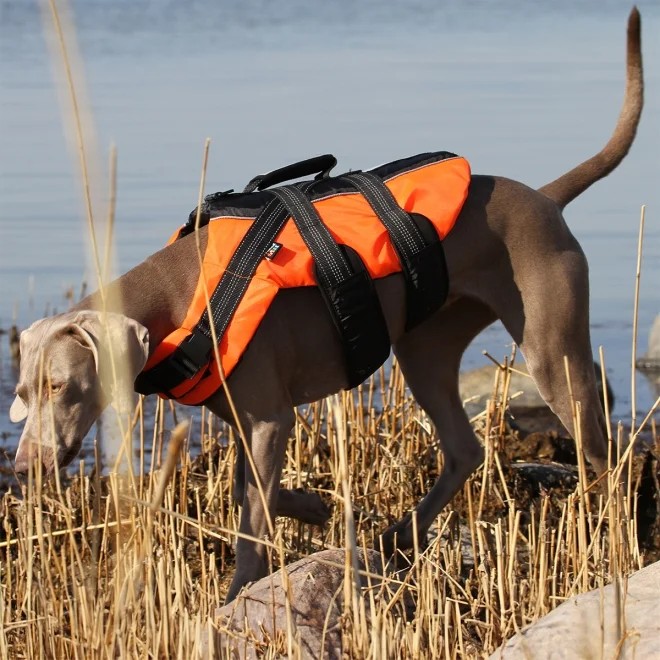 Rukka Safety päästevest, M 10-20 kg, oranž - Tootepilt 2