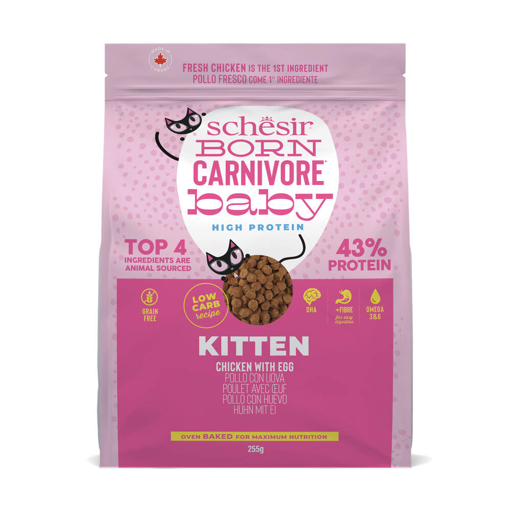 Schesir Born Carnivore kassipoja kuivtoit, kana/muna, 255 g - Tootepilt