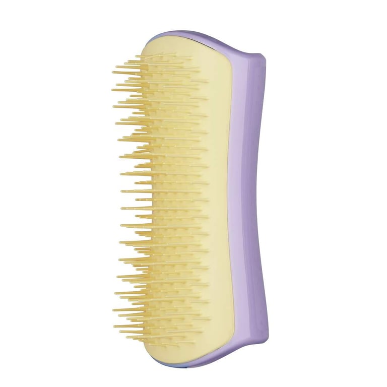 Pet Teezer Detangling Mini šepetys šunims, 12 cm