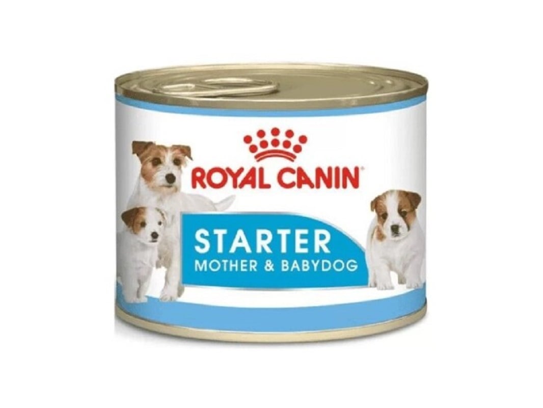 ROYAL CANIN Starter mitrā barība suņiem, 195g - Produkta attēls