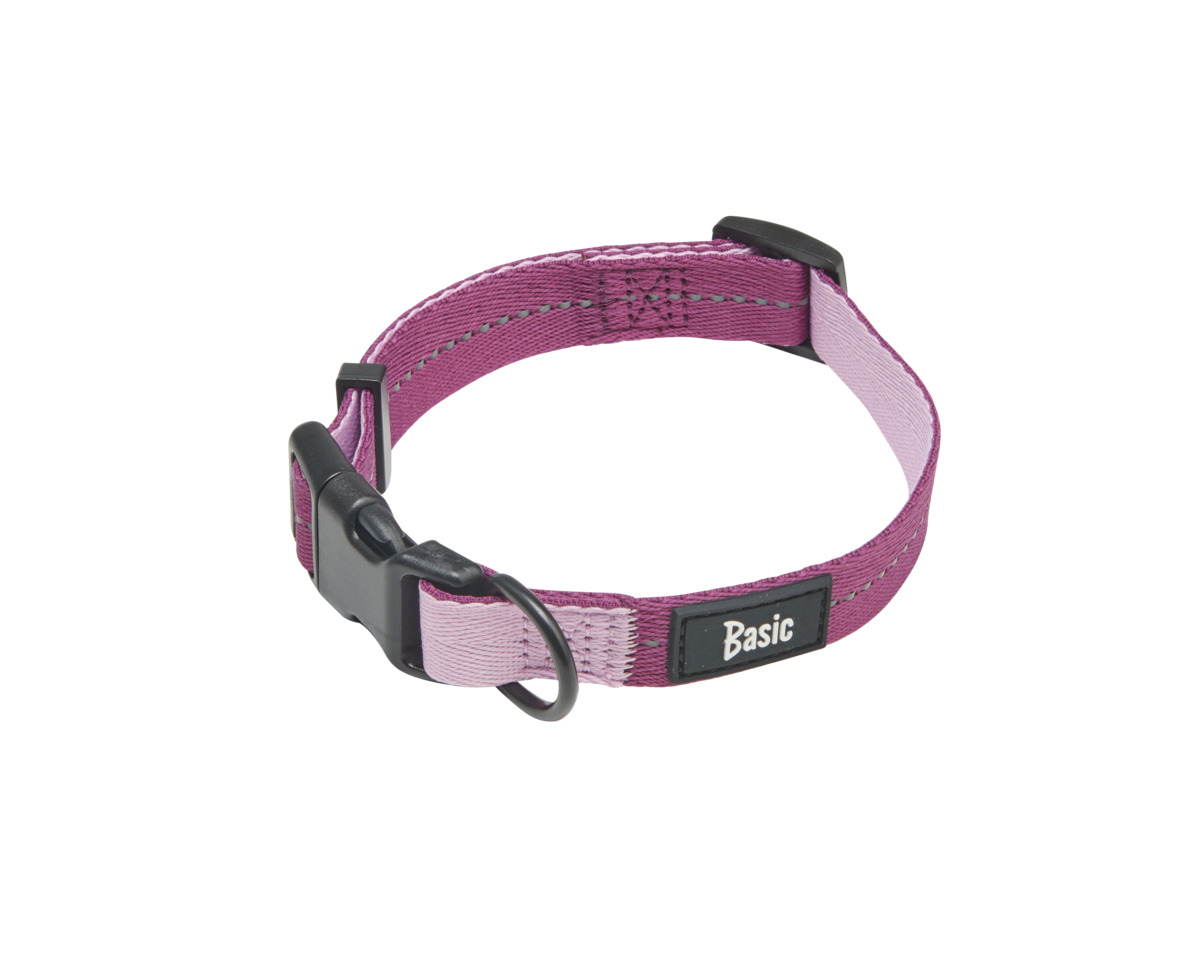 BASIC FRESH ANTKAKLIS, 45–70 CM, FUKSIJOS SPALVOS* - 