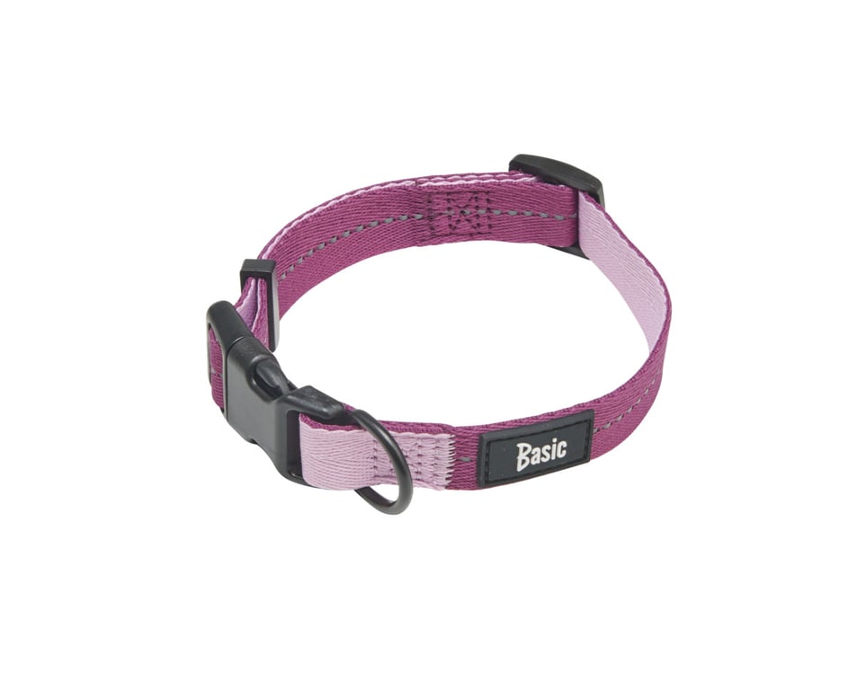 BASIC FRESH ANTKAKLIS, 45–70 CM, FUKSIJOS SPALVOS*