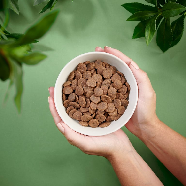 Purenatural begrūdis sausas maistas šunims su kiauliena, 2 kg -  3