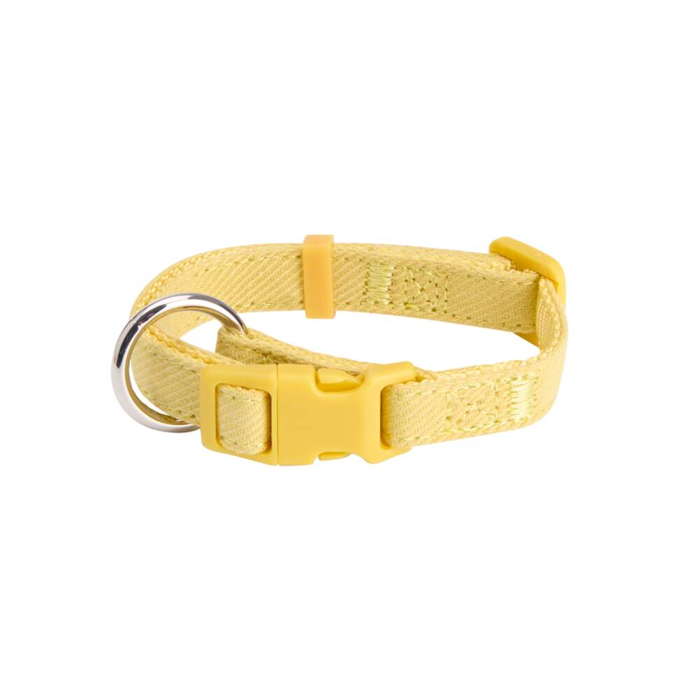 Little&Bigger PuppyBasics Taffi kaelarihm, kollane, 20-30 cm - Tootepilt