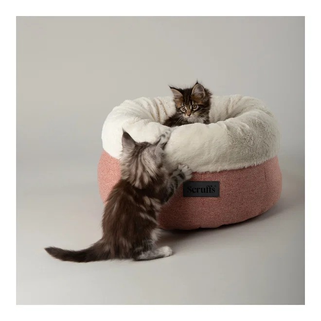 Scruffs Seattle Sanctuary kassipesa, roosa - Tootepilt 3