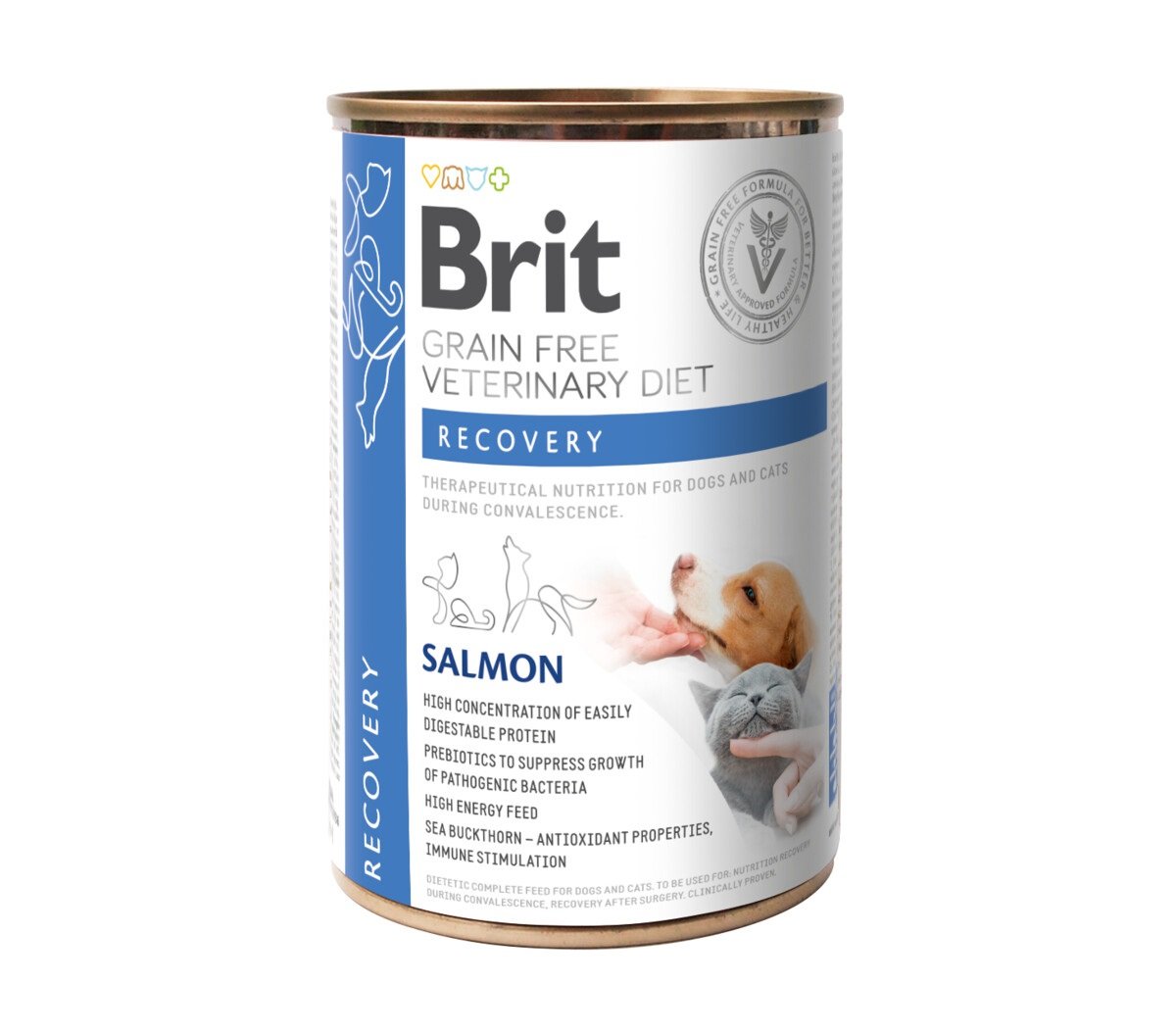 BRIT GF Recovery mitrā barība suņiem/kaķiem, lasis, 400 g - Produkta attēls