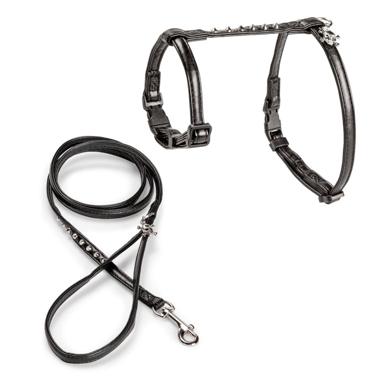 BASIC REBEL PETNEŠŲ RINKINYS KATĖMS, M/L, JUODOS SPALVOS*