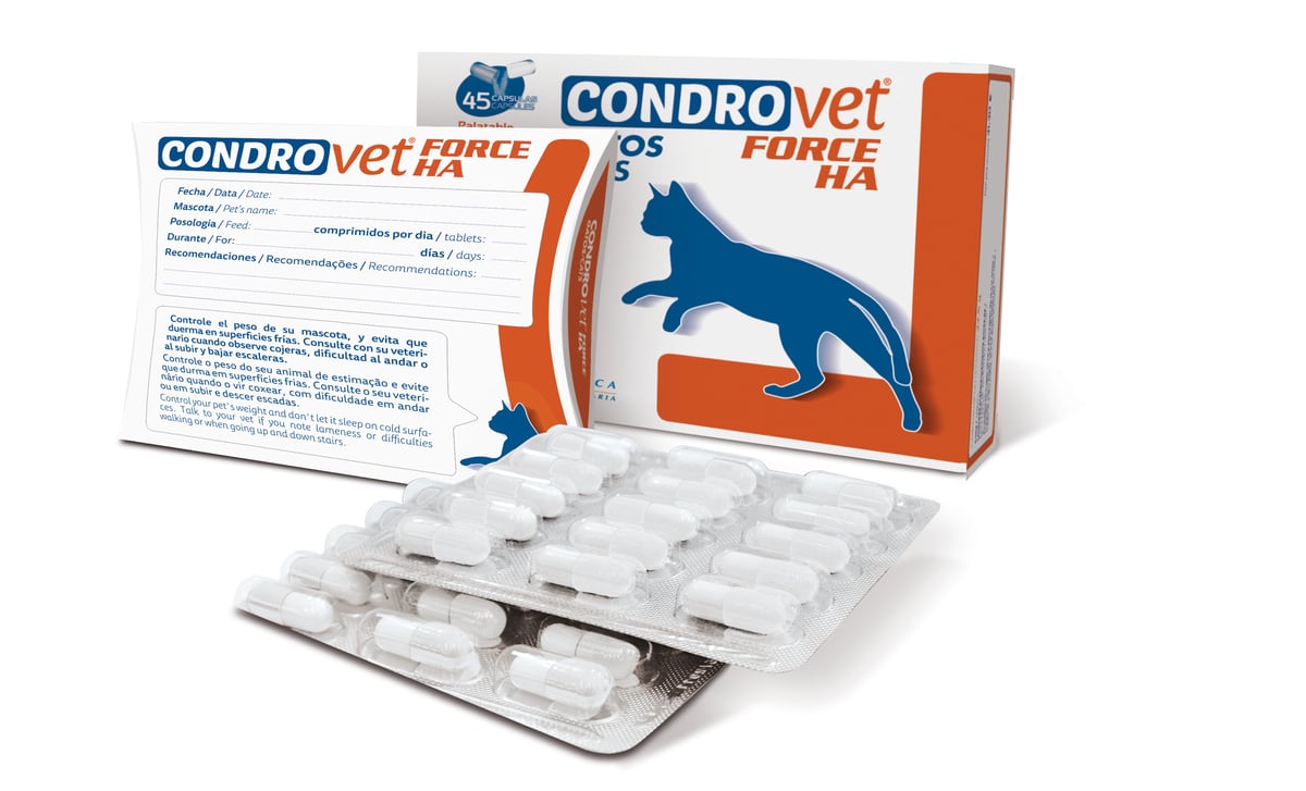 Bioiberica Condrovet Force HA kapslid kassidele, N45 - Tootepilt