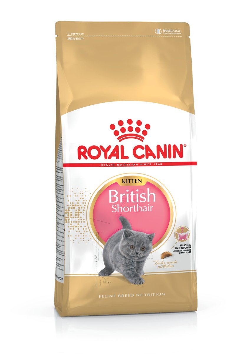 ROYAL CANIN sausā barība Britu īsspalvainās šķirnes kaķēniem, 2kg - Produkta attēls 1
