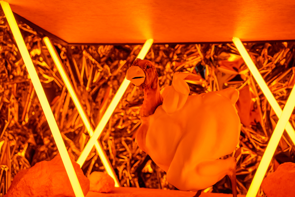 宇宙養雞場find the chicken1.jpg