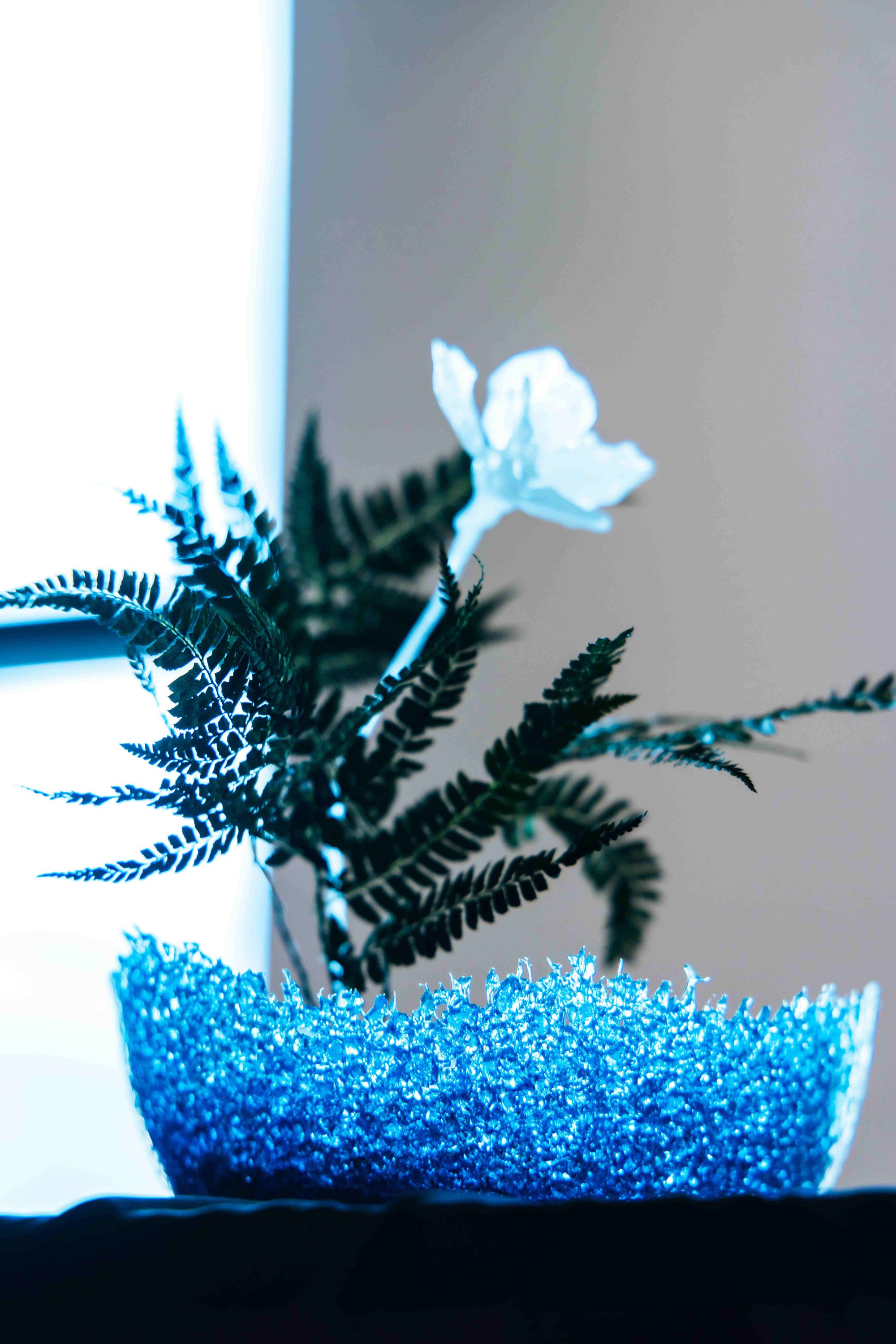 00_10F 公共區域展區－日本 HONOKA 與台灣緹花野草聯手概念裝置（圖：南港老爺行旅提供） (1).jpg