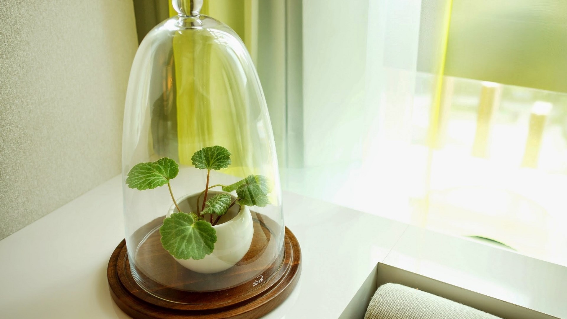 호텔 로얄 베이터우