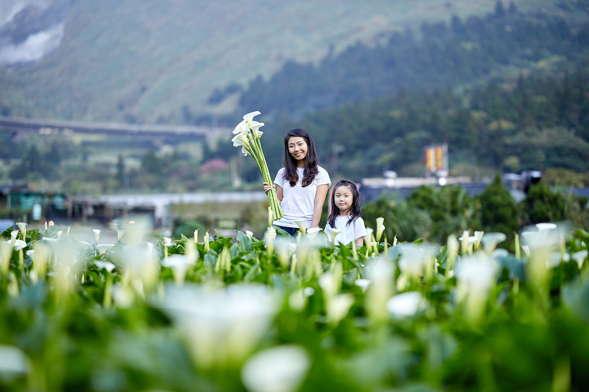 北投老爺酒店【花漾慢旅】含早餐專案 NT$6,600+10%－平日入住加贈花漾午茶