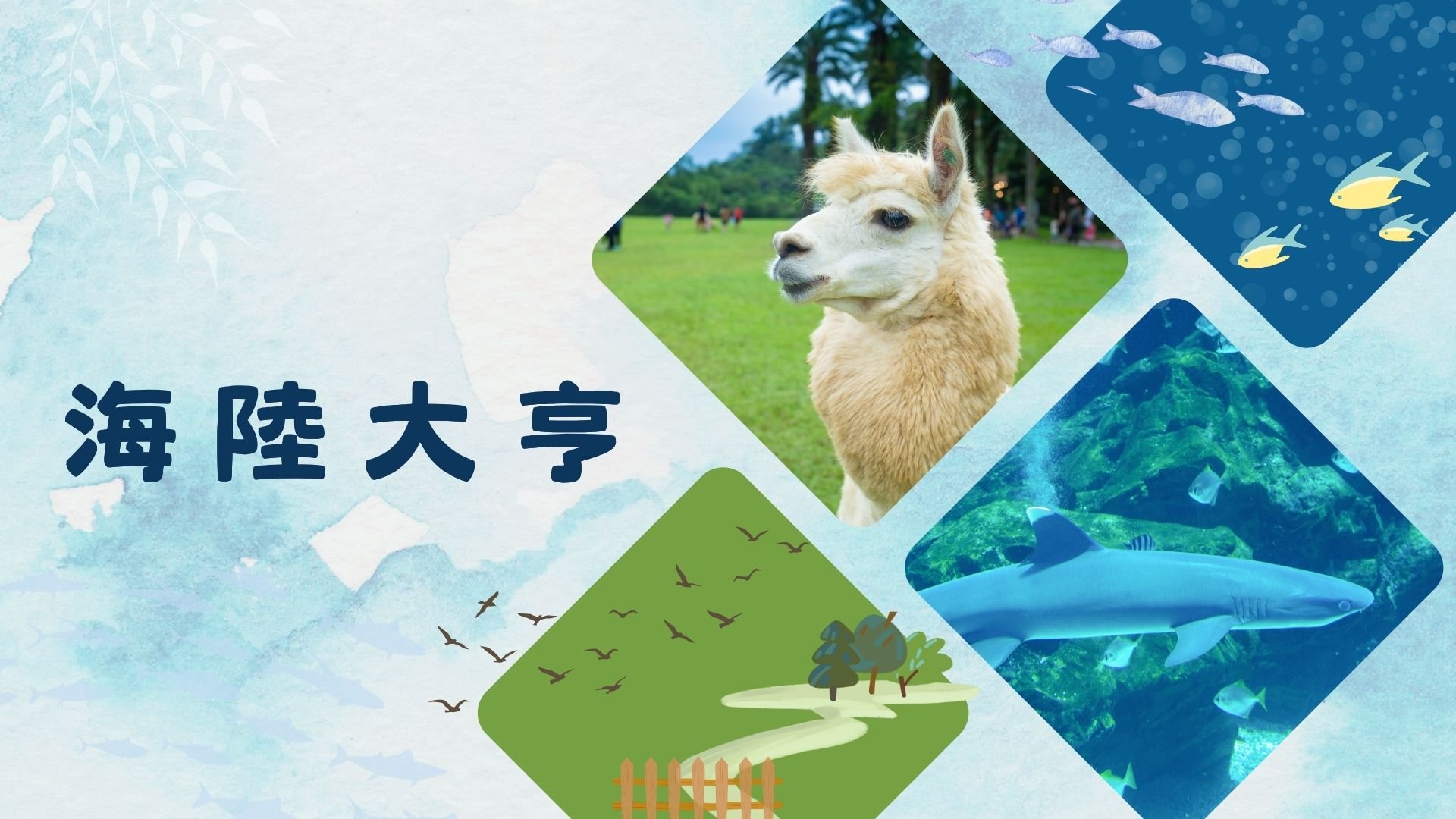 Xpark住房專案