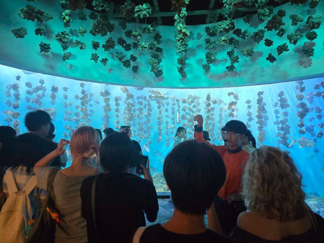 LINE_ALBUM_20260812海生館參訪日_260819_38.jpg