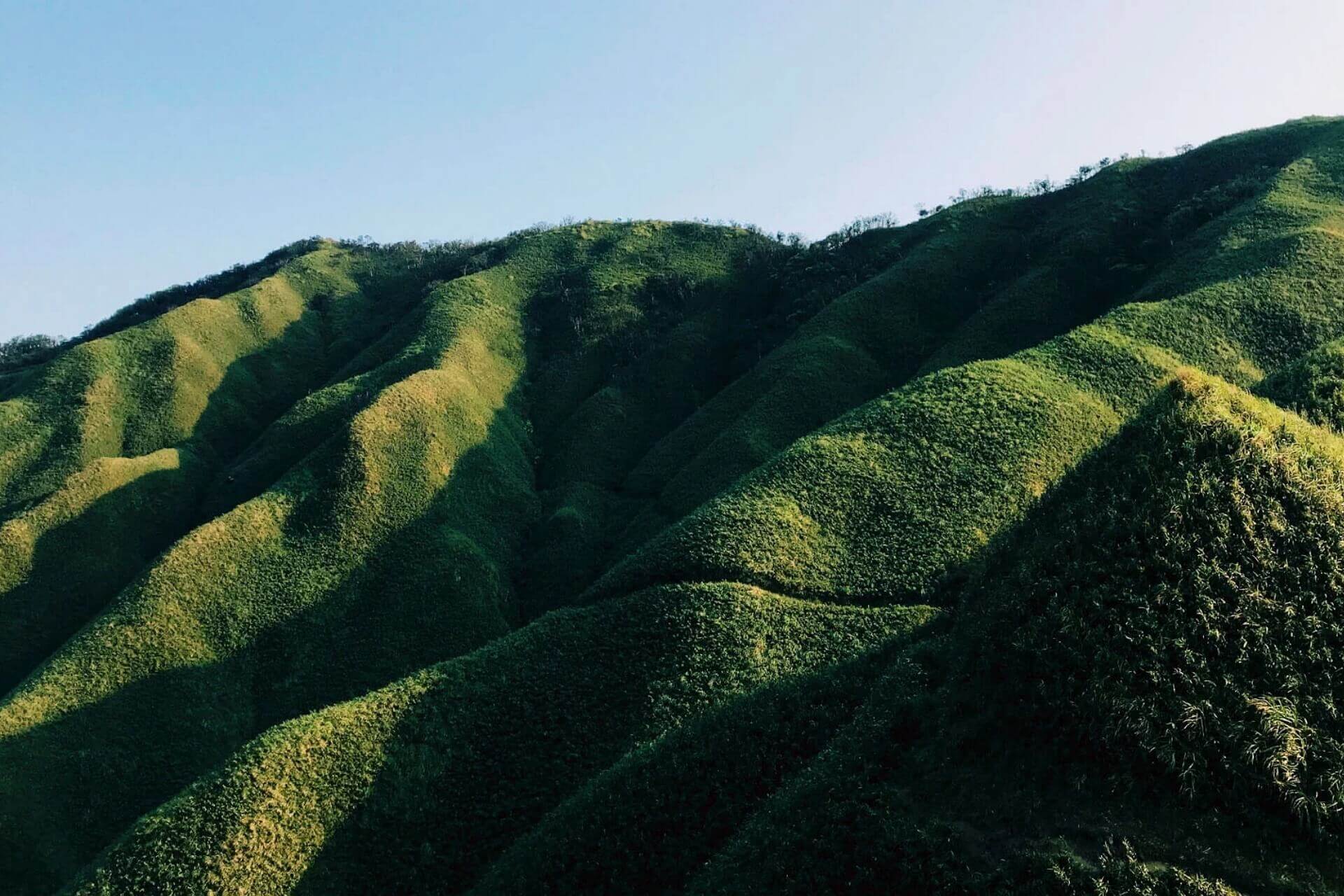 抹茶山 (聖母登山步道)
