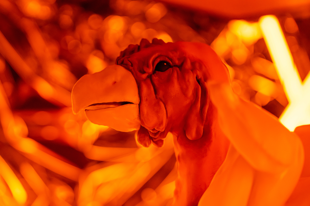 宇宙養雞場find the chicken4.jpg