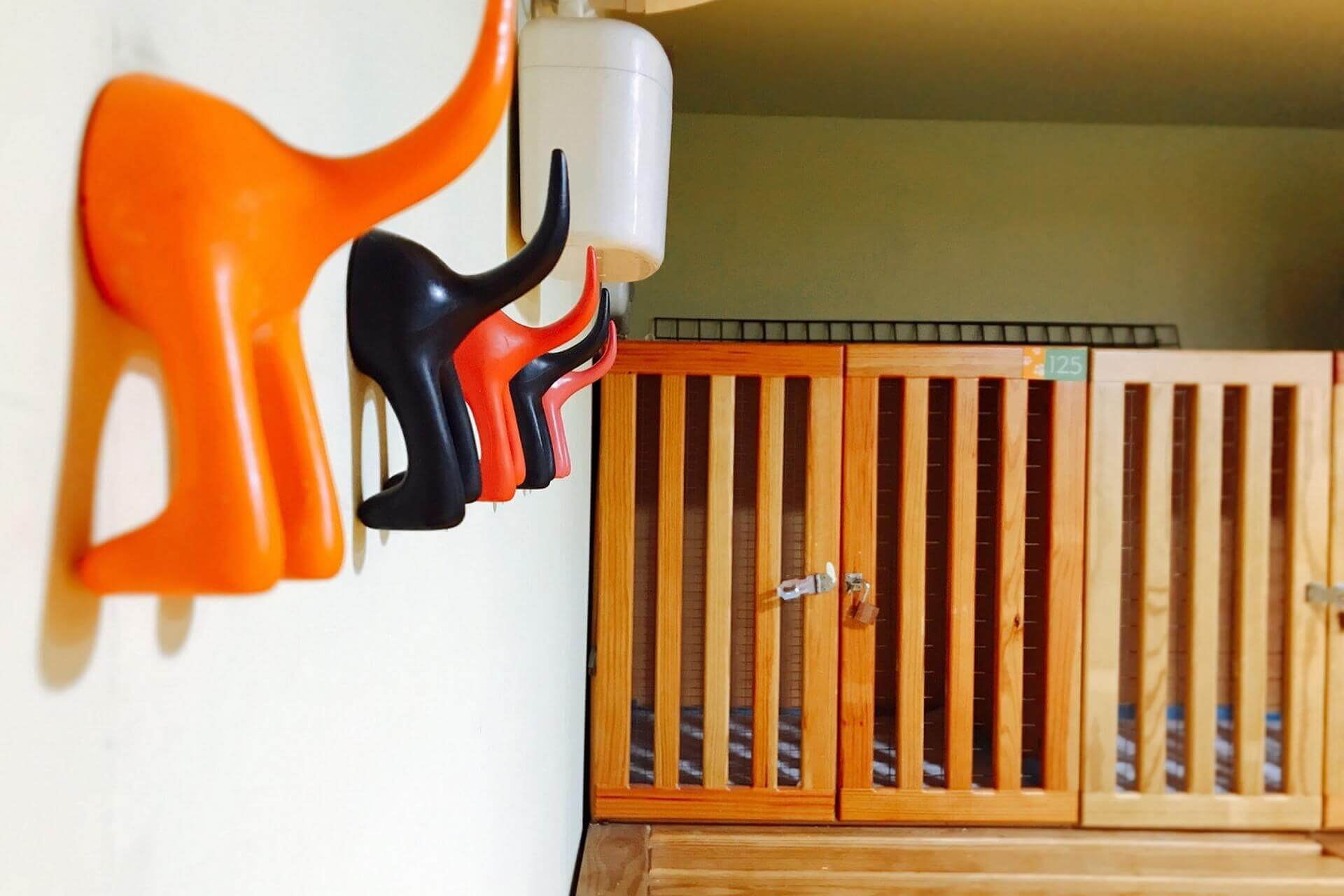 gIi20210919064551169 (1).jpg