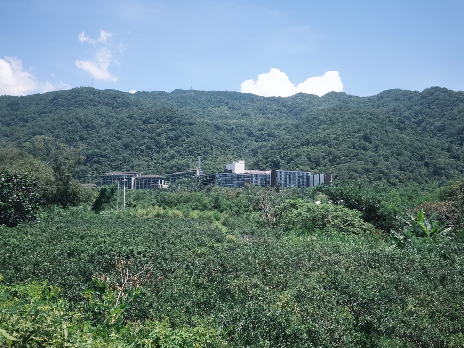 LINE_ALBUM_劉克襄10月走讀場勘_260902_12.jpg