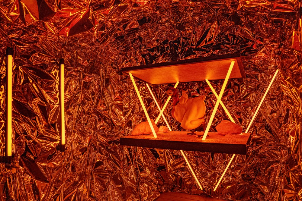 宇宙養雞場find the chicken5.jpg