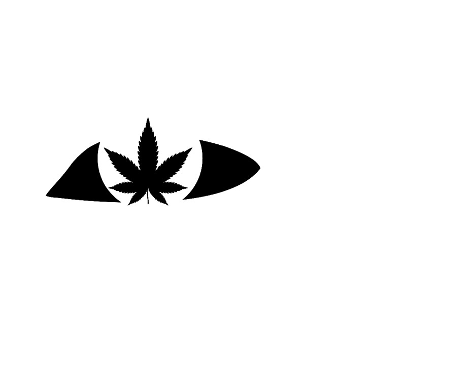 eye of horus