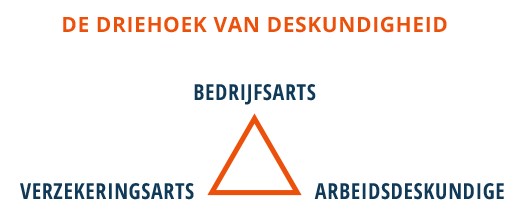 Acture afbeelding 2.jpg