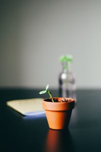 growth mindset verandering effectory