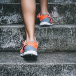 HRcommunity - whitepaper - Hoe Creeren CEOs FIT, IMPACT en GRIP