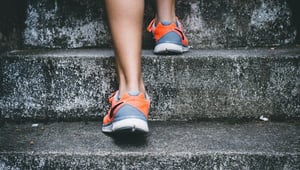 HRcommunity - whitepaper - Hoe Creeren CEOs FIT, IMPACT en GRIP