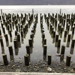 Natuurlijk organiseren geen kunst, maar principe