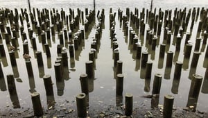 Natuurlijk organiseren geen kunst, maar principe