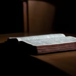 Handboek Duurzame Welvaart Organiseren?