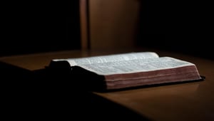 Handboek Duurzame Welvaart Organiseren?