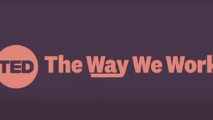 Ted The Way we work