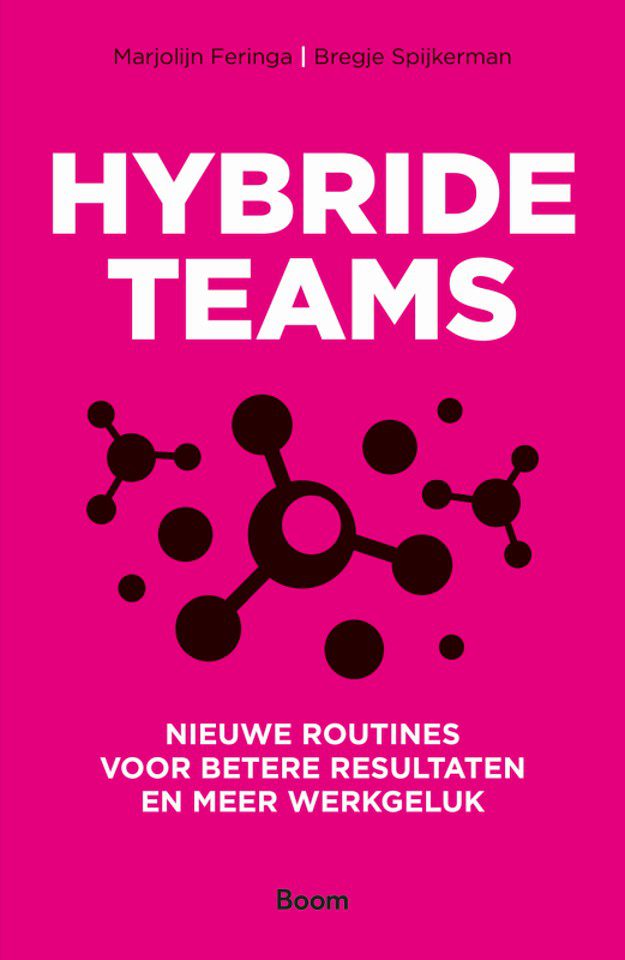 Hybride teams -