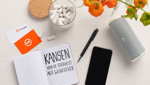 Kansen voor de overheid als werkgever Vista Nova