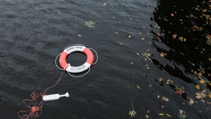 psychologische veiligheid