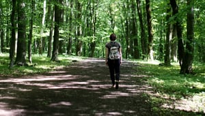 Burn-out: bewegen