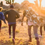 Rollen in een community