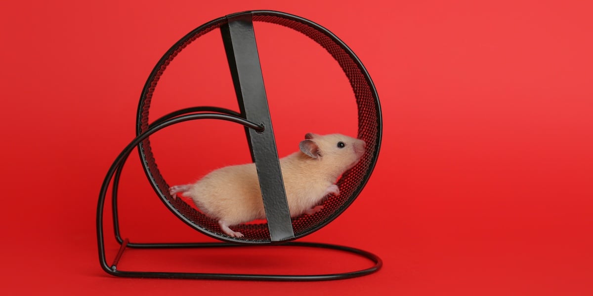 En alles bleef zoals het was