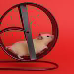 En alles bleef zoals het was