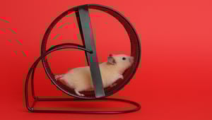 En alles bleef zoals het was