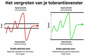 tolerantievenster